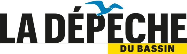 logo_depeche